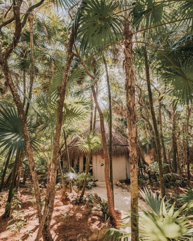 Art Village Tulum Bagian luar foto